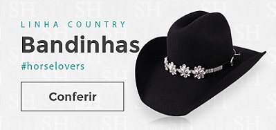 Mini banner 02 bandinhas