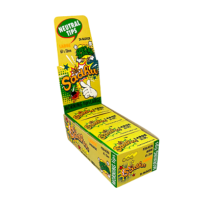 Caixa Piteira Sadhu Morning Large 60x33 Atacado - 24 Blocos