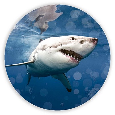 Painel Redondo - Tubarão - Sublimado 3D