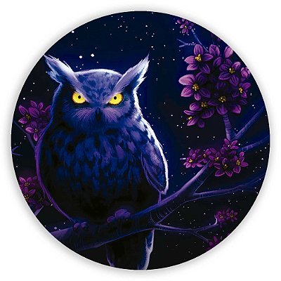 Mini Painel - Coruja - Sublimado 3D