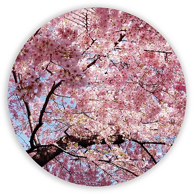 Mini Painel - Cerejeira - Sublimado 3D