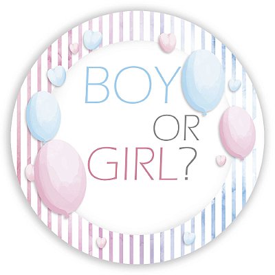 Mini Painel - Girl Boy Revelação - Sublimado 3D