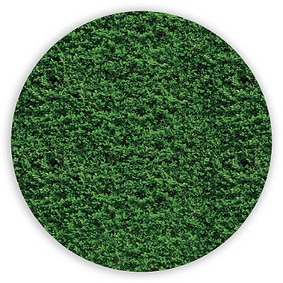 Mini Painel - Muro Ingles - Sublimado 3D