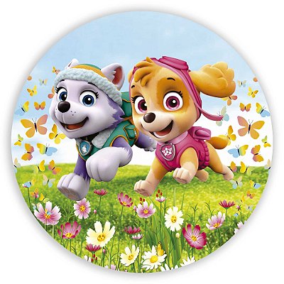 Mini Painel - Patrulha Canina - Sublimado 3D