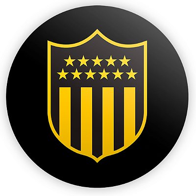 Mini Painel - Peñarol - Sublimado 3D
