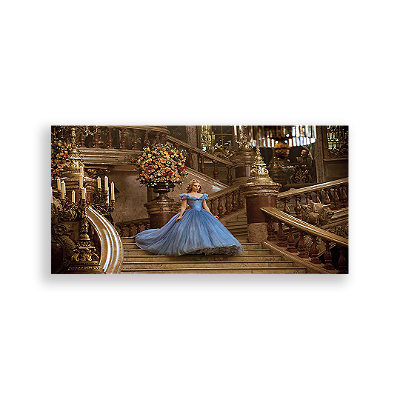 Painel Retangular - Cinderella Filme - Sublimado 3D