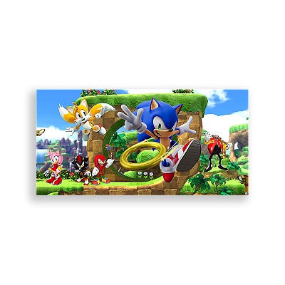Painel Retangular - Sonic - Sublimado 3D