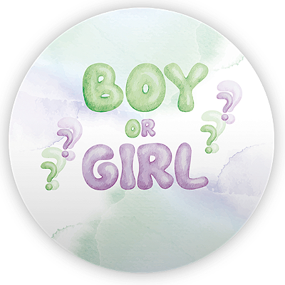 Mini Painel - Revelação - Sublimado 3D