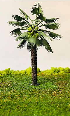 Palmeira Azul