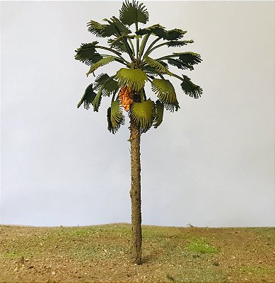 Palmeira Washigtonia 16 cm