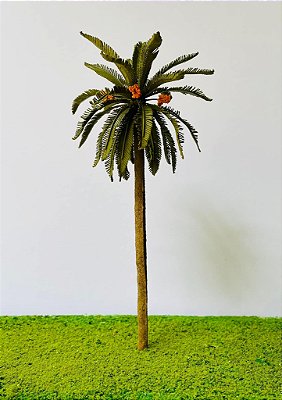 Palmeira Tamareira