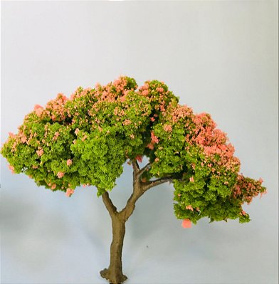 Árvore Florida Rosa