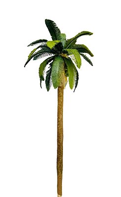 Coqueiro 17cm