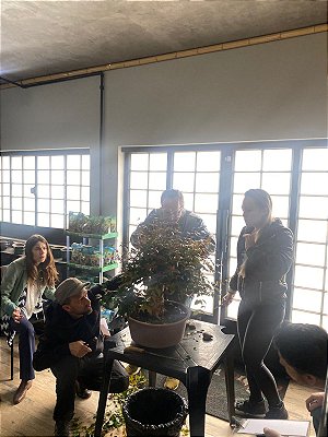 Curso Escola com o Professor Pechin (TURMA 2)