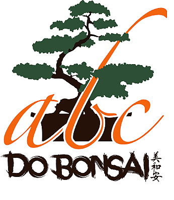 Encontrão de Bonsai e churrasco 9 de agosto 2025