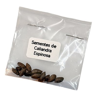 Sementes de Calliandra Espinosa 12 Unidades