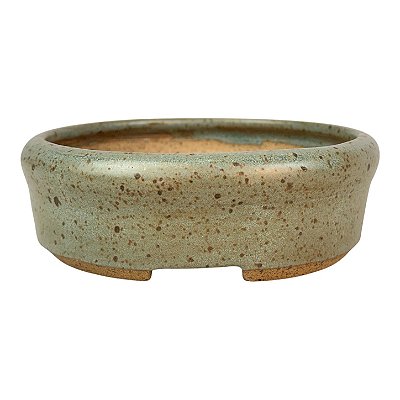 Vaso Bandeja Para Bonsai Redondo Esmaltado Pine 12,5 X 4 cm