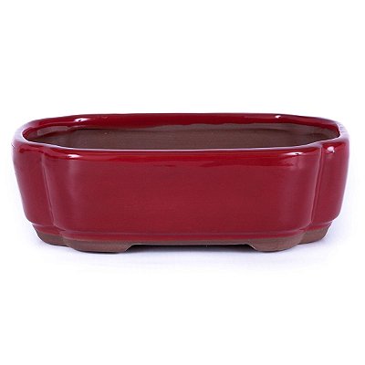 Vaso para Bonsai Petrópolis Retangular Esmaltado 20 x 14 x 6 cm
