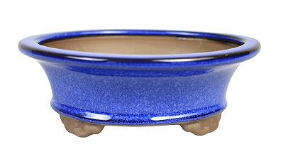 Vaso Oval Esmaltado Literato 18 X 14 X 6,5 cm
