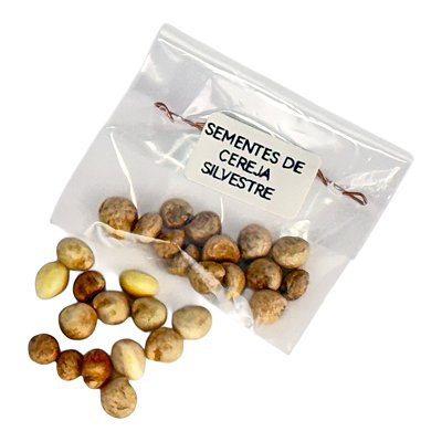 Sementes de Cereja Silvestre (cereja anã) Japonesa 14 Unidades