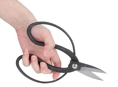 Tesoura Grande De Poda Para Bonsai Importada em Aço Carbono