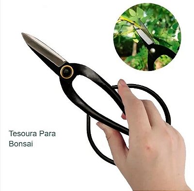Tesoura Para Bonsai em Aço Carbono Importada 20 cm