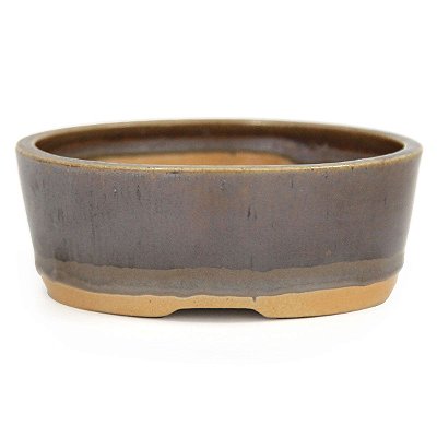 Vaso Mame Para Bonsai Oval Mizuno 12 X 9 X 4,5 CM