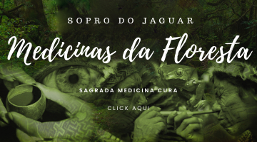 Medicinas da Floresta