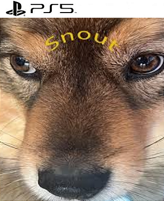 Snoot Booper PS5 Midia Digital