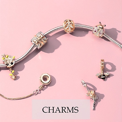 categoria-charms