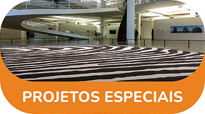 Projetos Especiais