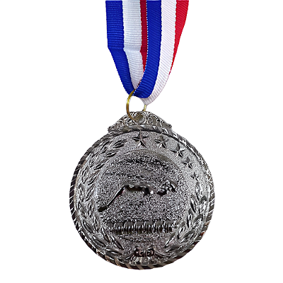Medalha NATAÇÃO ESTRELA Prata AX 65mm YWA 470 - EXCLUSIVIDADE