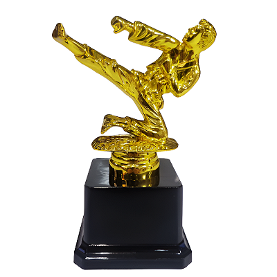 Troféu de Karatê Ajoelhado 1º Lugar 16cm Base Quadrada AX - 834