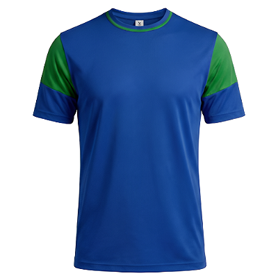 Jogo de Camisa AX Esportes Royal com Verde - 10+1 Numeradas