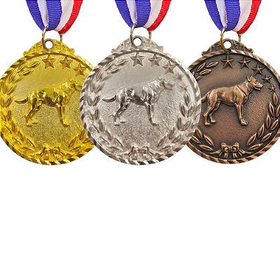 Kit 3 Medalhas Cachorro Pet 65mm Ouro Prata Bronze com Fita AX - 983