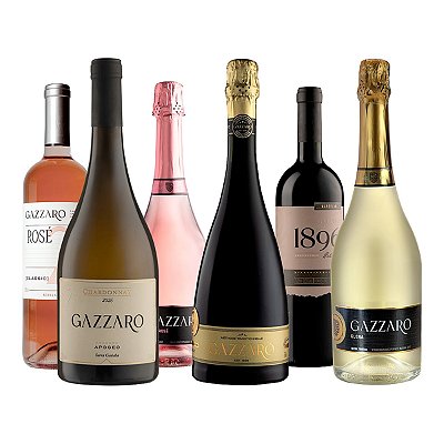 Combo Seleção Gazzaro