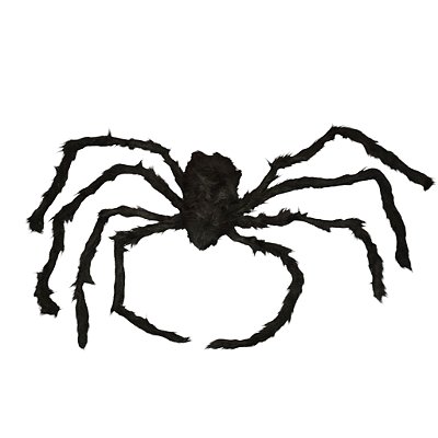 Aranha Peluda Grande