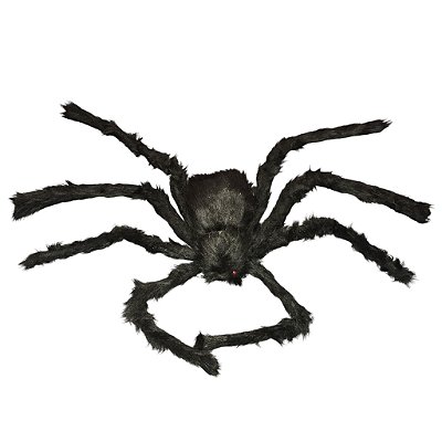 Aranha Peluda Média