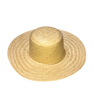 Chapéu Caipira Festa Junina Redondo Smp Ad