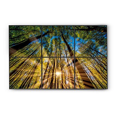 Painel Mosaico 1,50x1,00m  "Raio de Sol Entre Árvores"