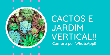 Cactos