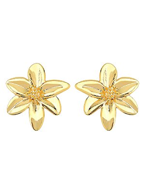 Brinco Flor Grande