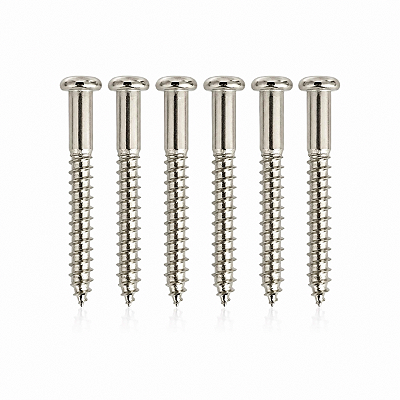 Kit 6 Parafusos Cromados Para Ponte De Guitarra Tremolo