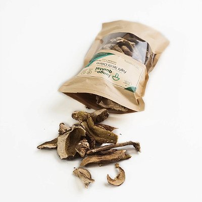Funghi Secchi Chileno - 50g