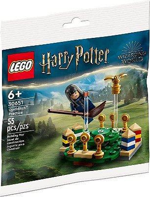 LEGO 30435 Harry Potter - Construa Seu Castelo de Hogwarts - Recruitment  Bags - Bricks4Fun