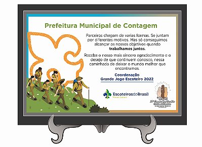 Placa em acrílico  resinada