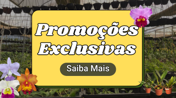 Promo2