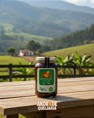 Figo em calda Orgânico - Do pé ao Pote - 600g