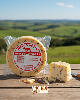 Parmesão Temperado - 580g