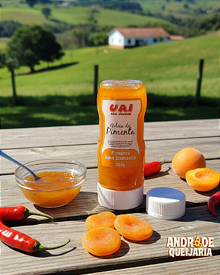 Geleia de Pimenta com Damasco 260g